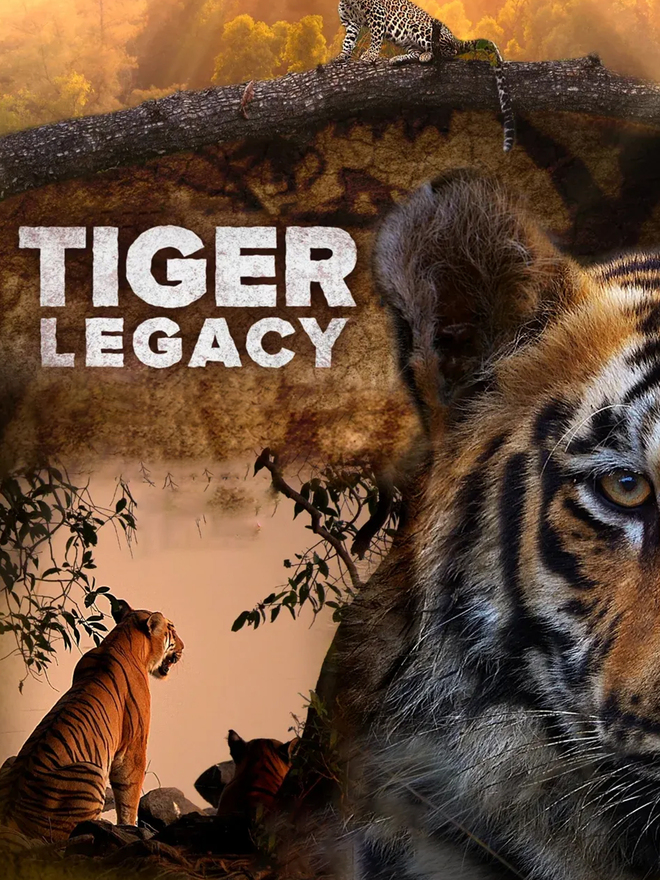 Tiger Legacy