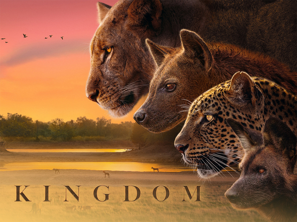 Kingdom