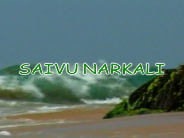 Saaivu Naarkkaali