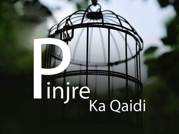 Pinjre Ka Qaidi