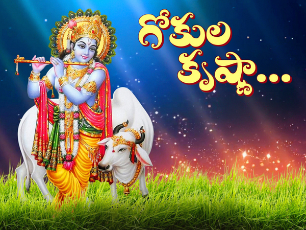 Gokula Krishnaa..!