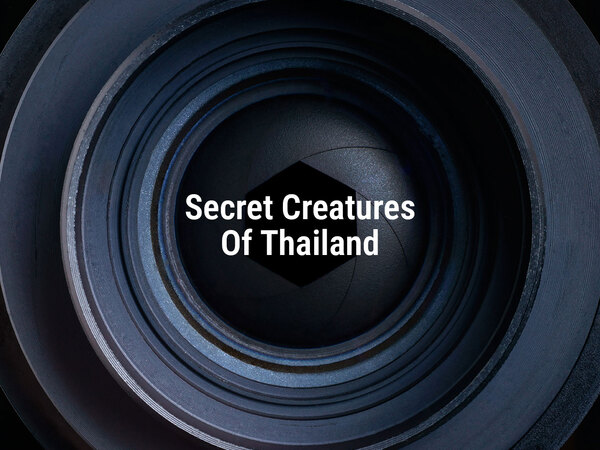 Secret Creatures Of Thailand