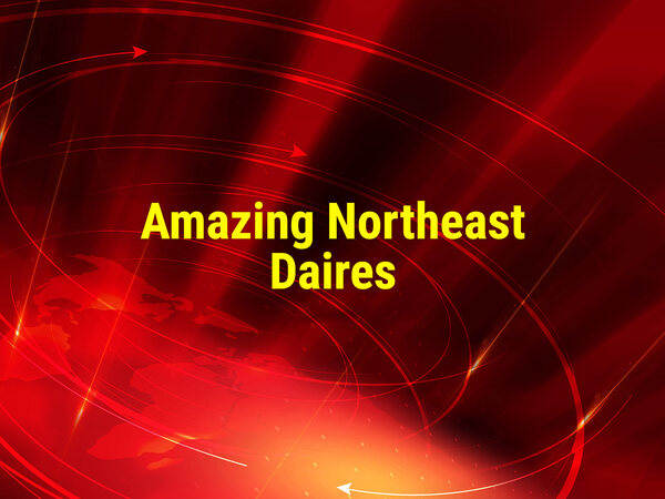 Amazing Northeast Diaries