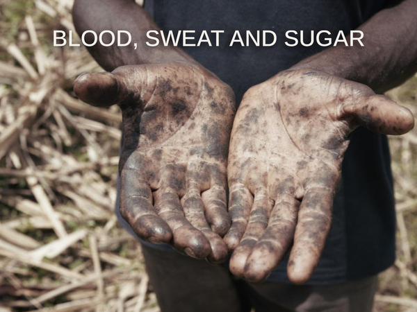 Blood, Sweat and Sugar