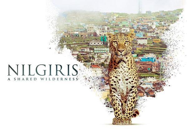 Nilgiris - A Shared Wilderness