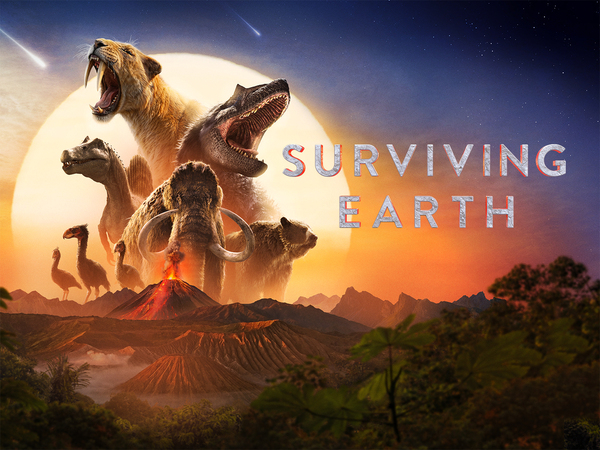 Surviving Earth