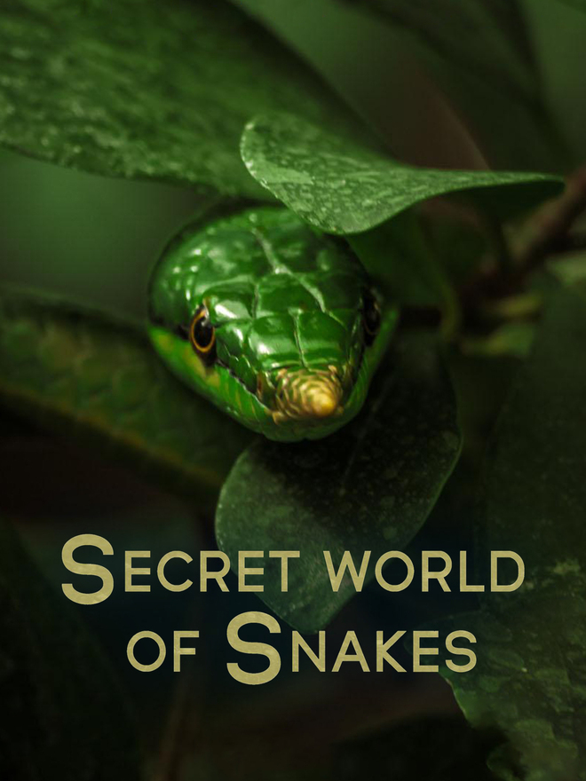 The Secret World of Snakes