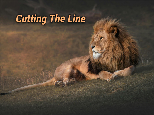Cutting The Line