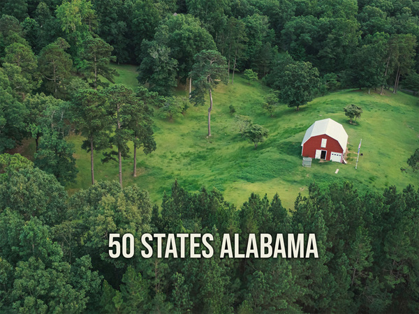 50 States Alabama