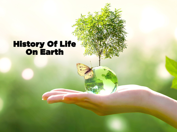 History Of Life On Earth