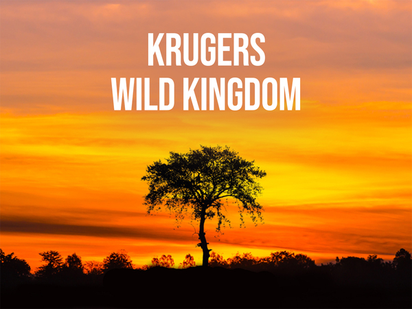 Krugers Wild Kingdom
