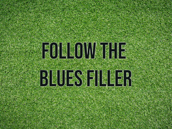 Follow the Blues Filler