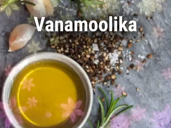 Vanamoolika