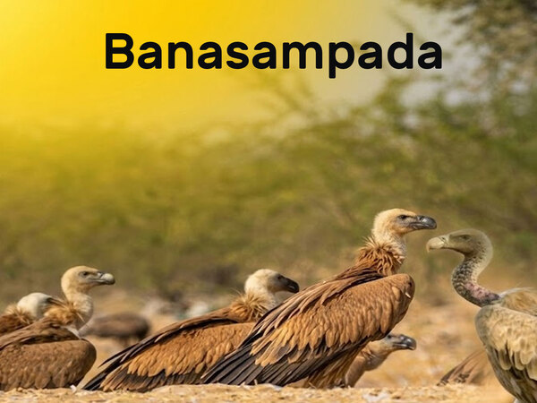 Banasampada
