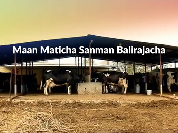 Maan Maticha Sanman Balirajacha