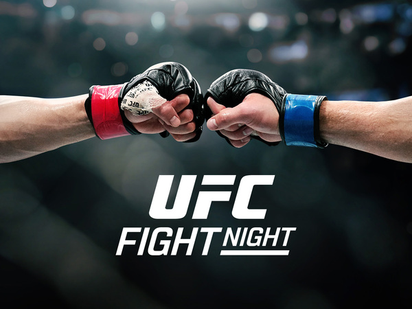 Noche UFC: Silva vs. Delgado (in English)