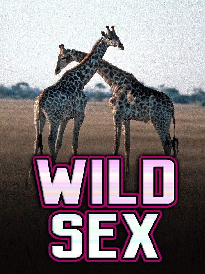 Wild Sex