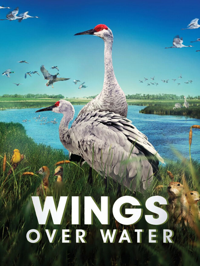 Wings Over Water
