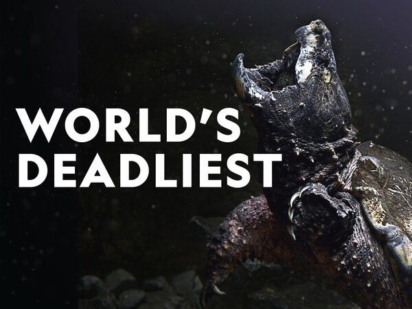 World's Deadliest