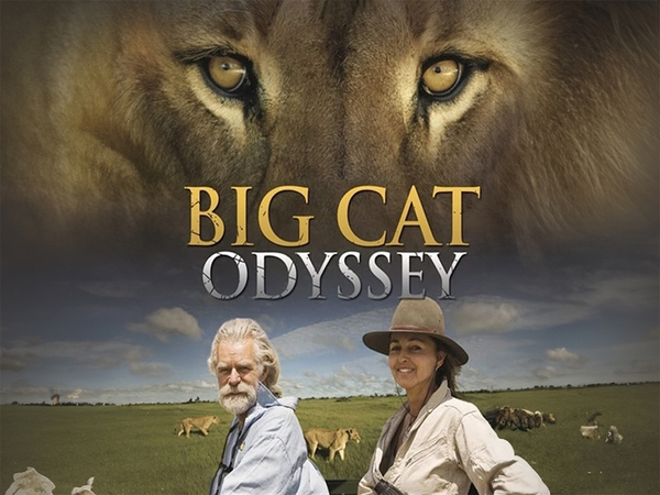 Big Cat Odyssey