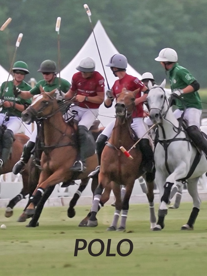 KogniVera Cup Finals; Polo