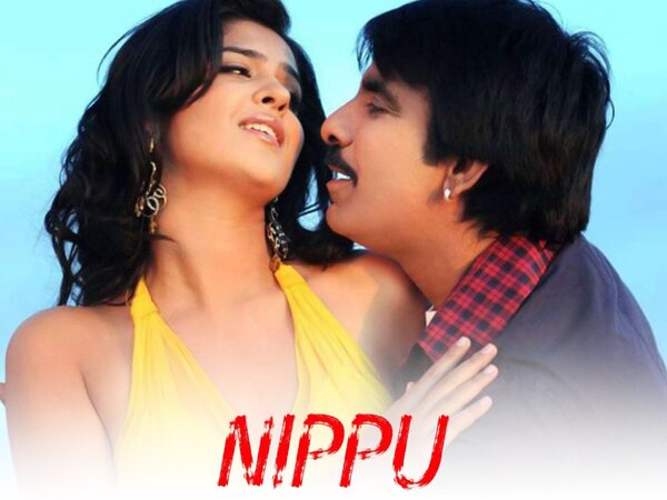 Nippu