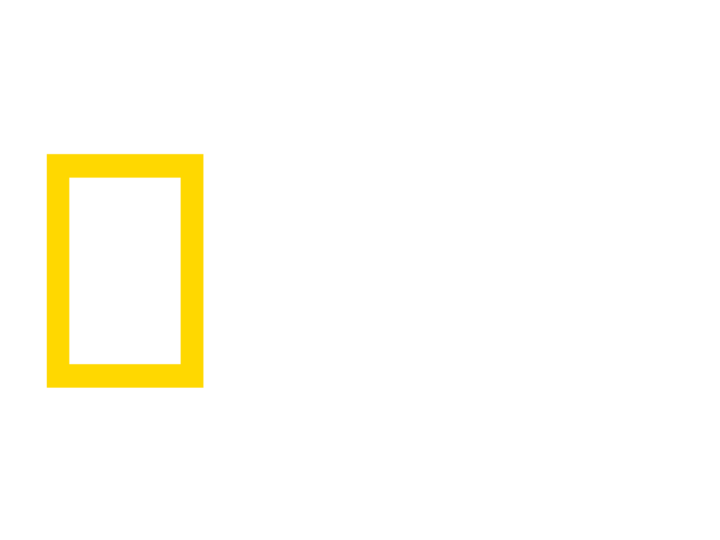 National Geographic Wild logo
