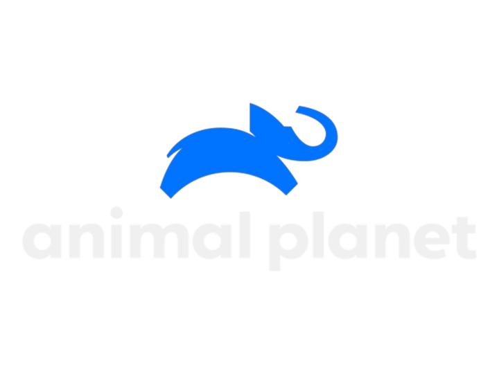 Animal Planet logo